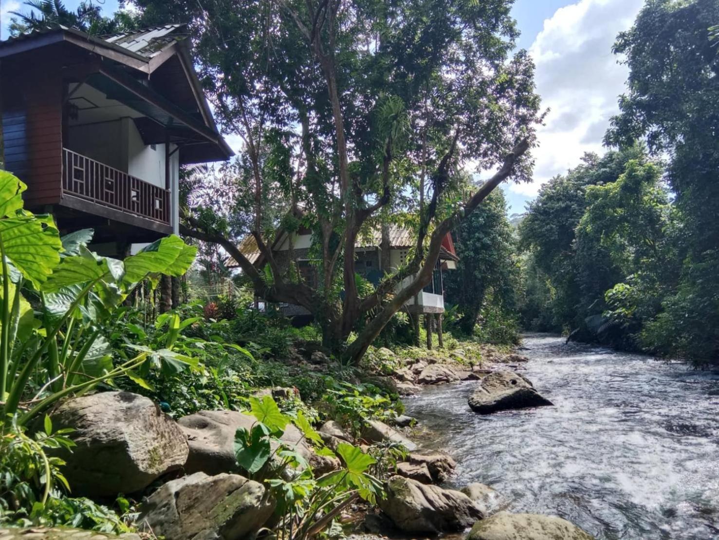 Tree Tops River Huts Khao Sok National Park Exterior photo